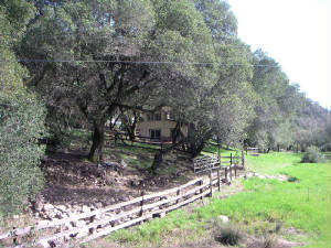 cottage.jpg